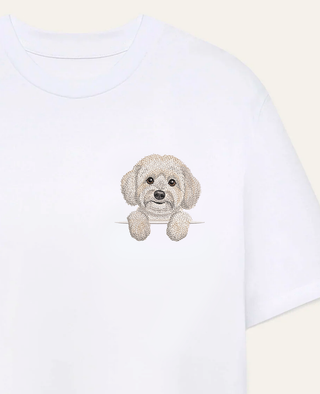 Coton de Tulear