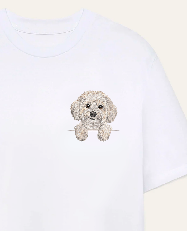 Coton de Tulear