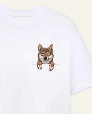 Shikoku