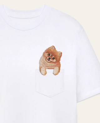 Szpic miniaturowy (Pomeranian)