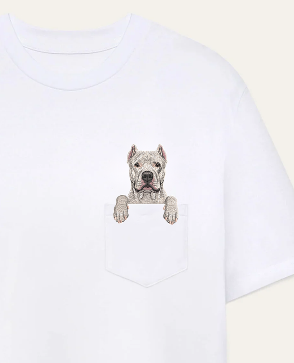 Dog argentyński