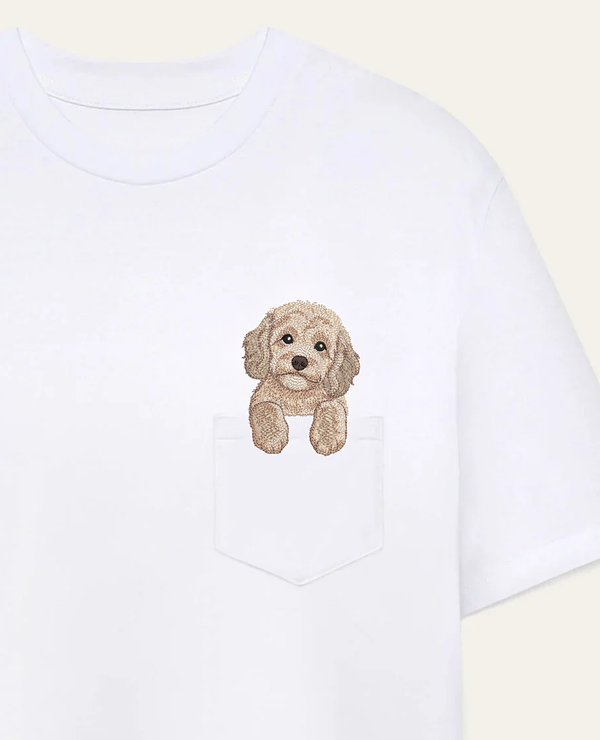 Cavapoo