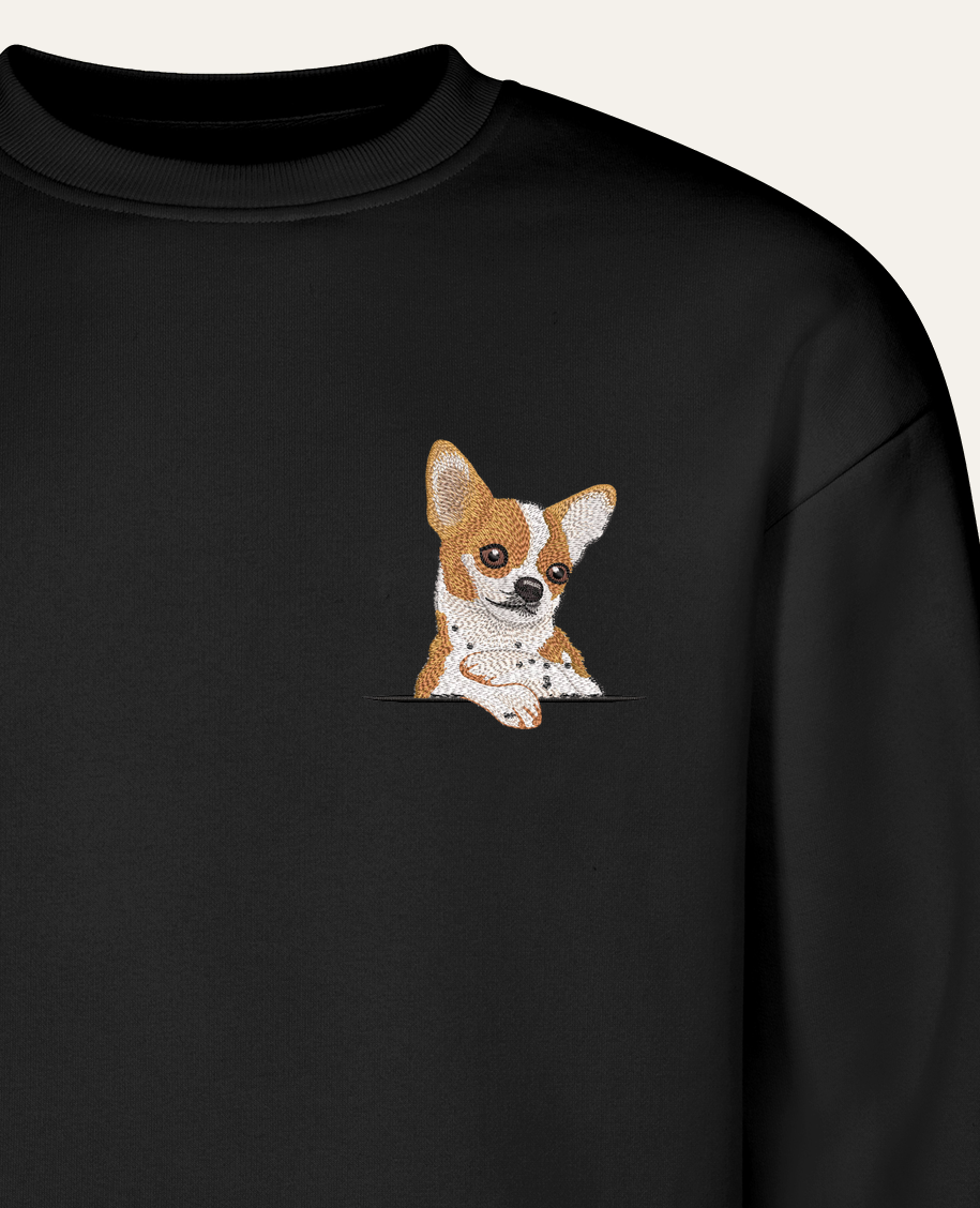 Chihuahua (biało-rudy) – bluza z haftem, czarna