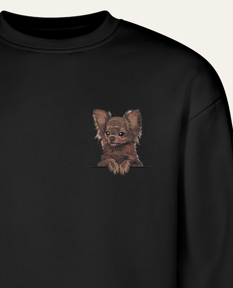 Chihuahua długowłosa (czekoladowy) – bluza z haftem, czarna