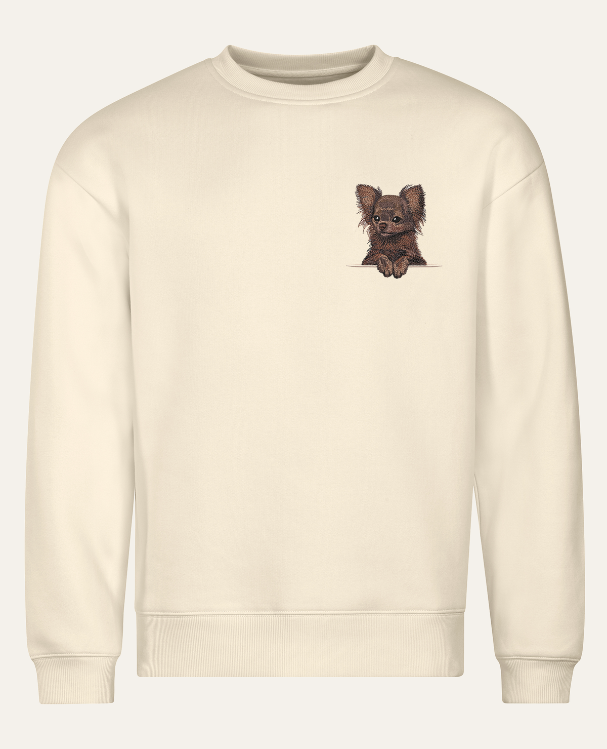 Chihuahua długowłosa (czekoladowy) – bluza z haftem, piaskowa, cała sylwetka