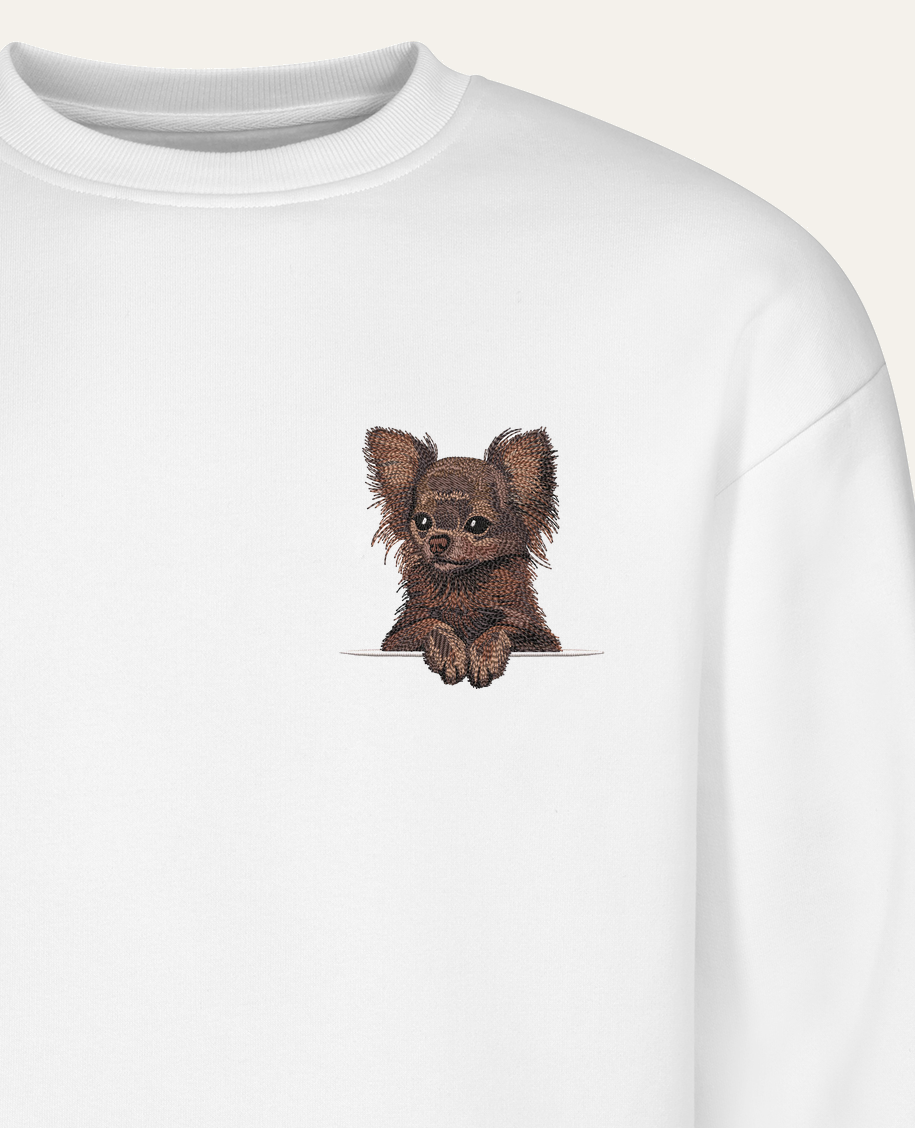 Chihuahua długowłosa (czekoladowy) – bluza z haftem, biała