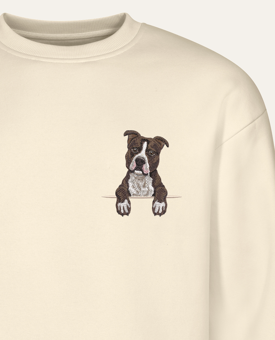 Staffordshire terrier (czekoladowy) – bluza z haftem, piaskowa