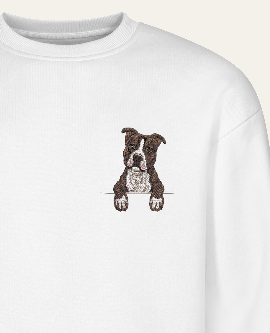 Staffordshire terrier (czekoladowy) – bluza z haftem, biała