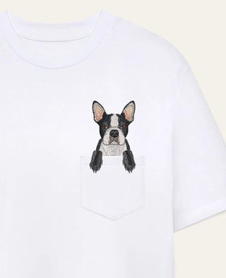 Boston terrier