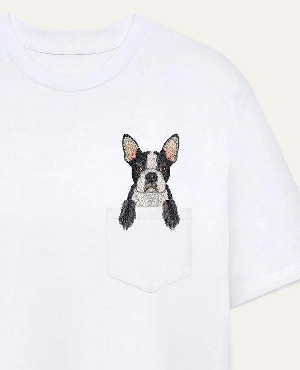 Boston terrier