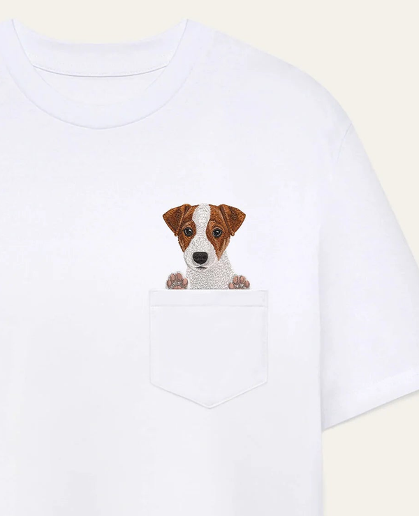 Jack Russell terrier