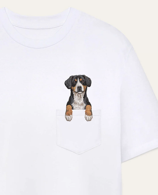 Entlebucher sennenhund