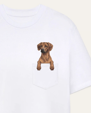 Rhodesian ridgeback