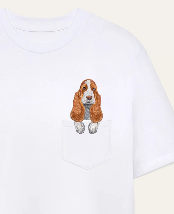 Basset hound