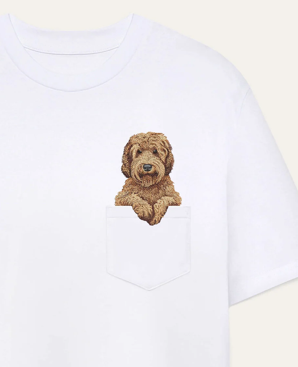 Labradoodle