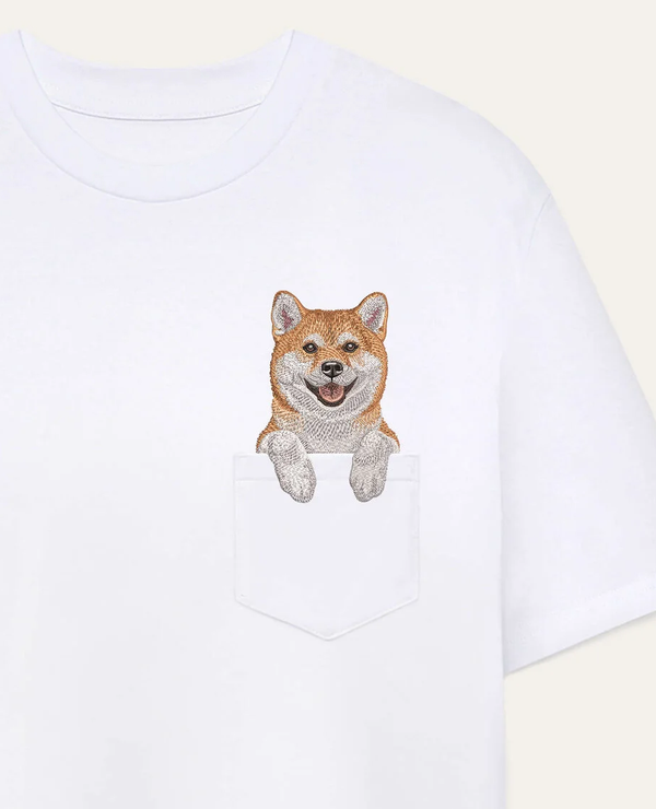 Shiba