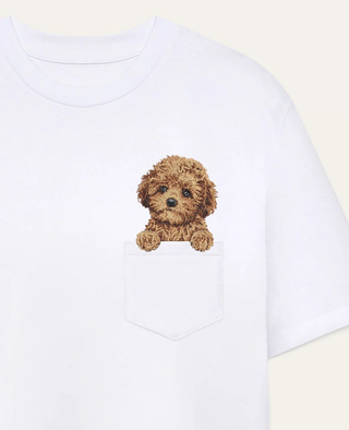 Maltipoo mini