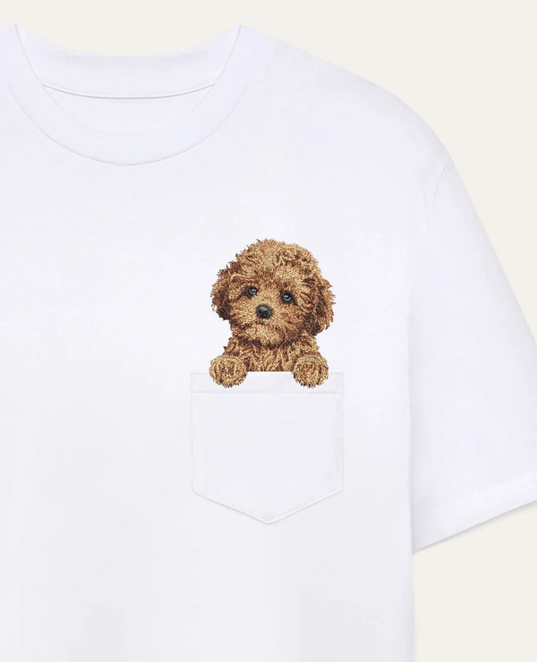 Maltipoo mini