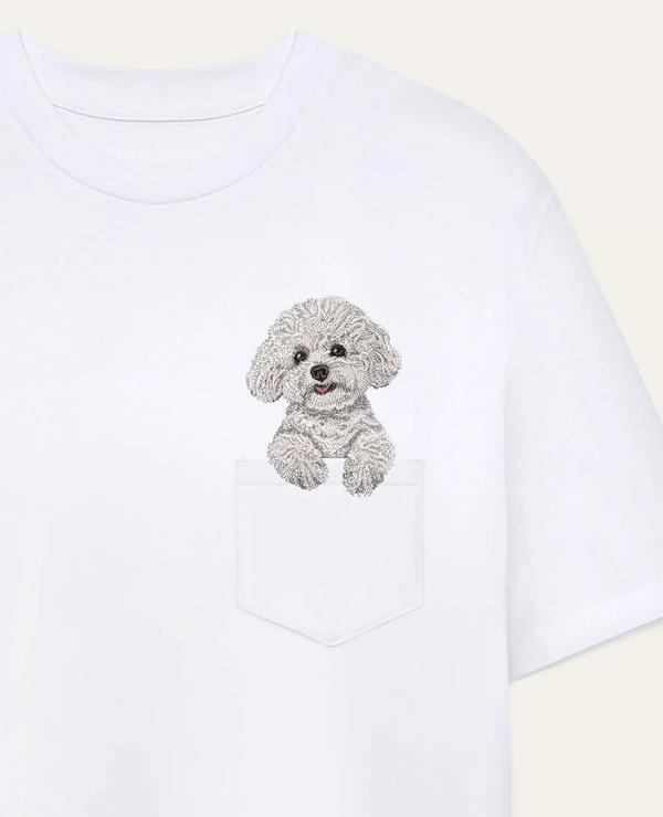 Bichon frisé