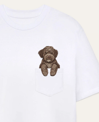 Lagotto romagnolo