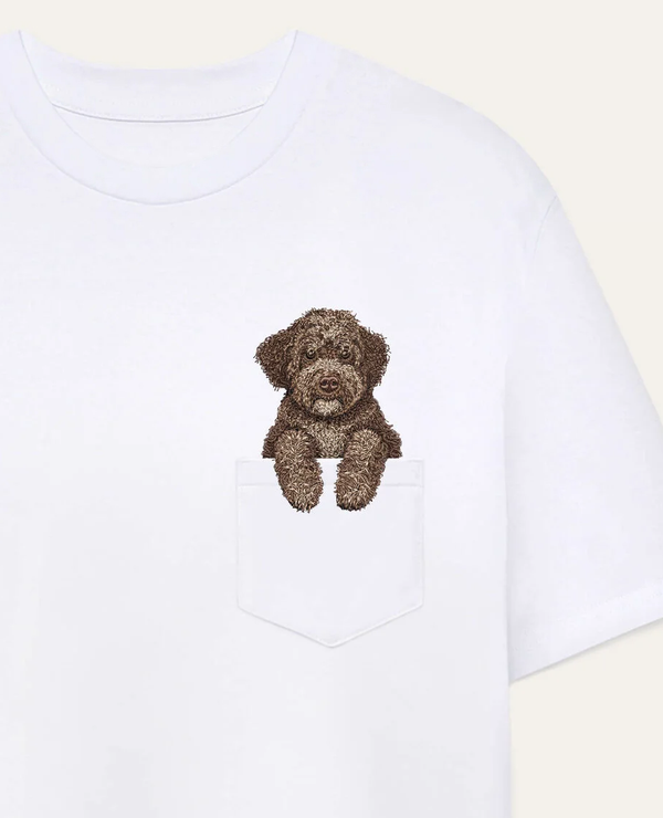 Lagotto romagnolo