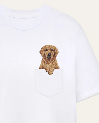 Retriever