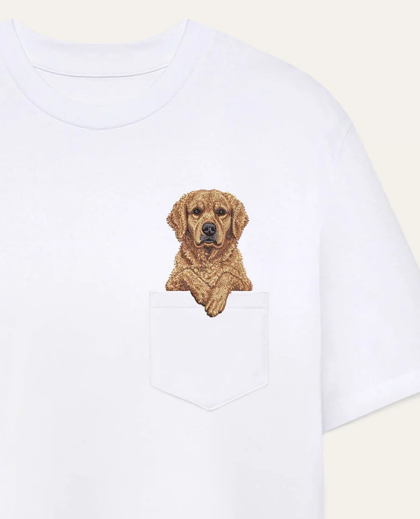 Retriever