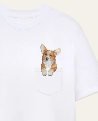 Corgi